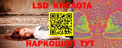 PSILOCYBIN Можайск
