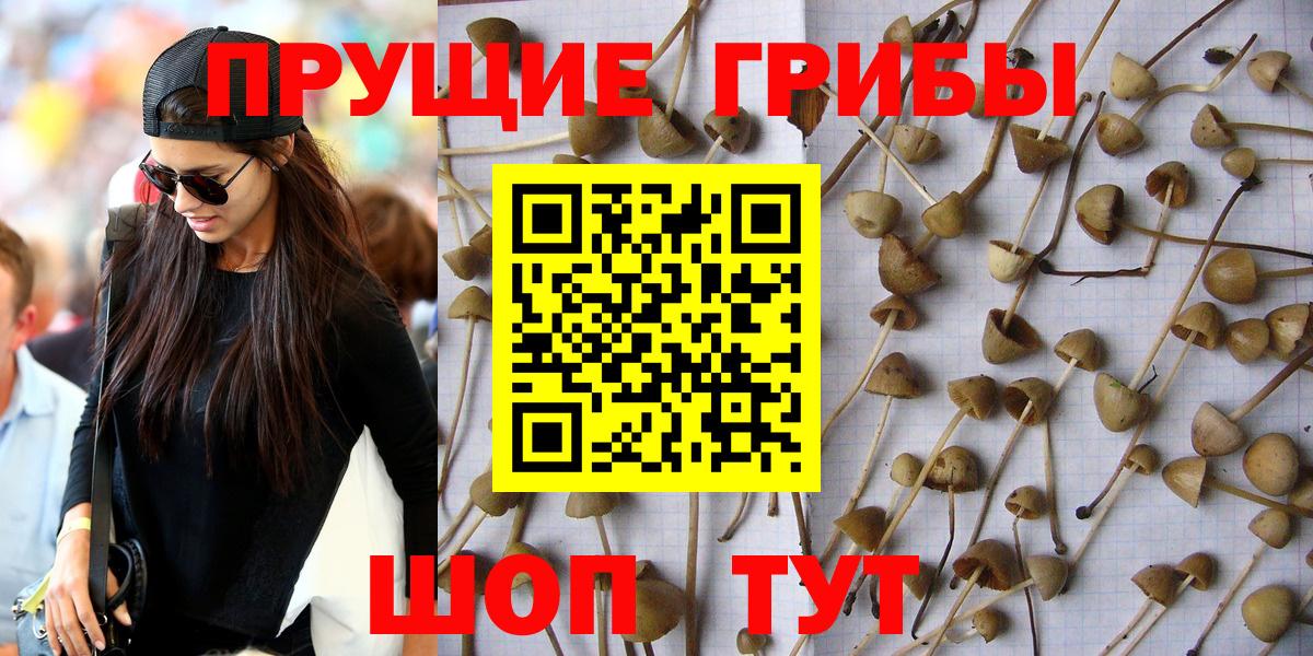 Псилоцибиновые грибы мухоморы  Галлюциногенные грибы Psilocybine cubensis  Углич  Вход с VPN 