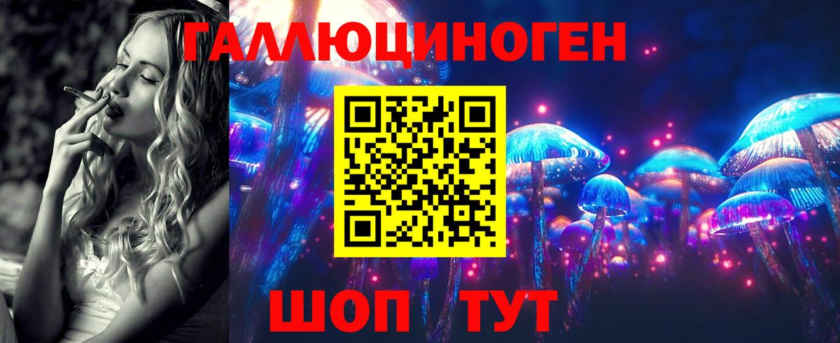Псилоцибиновые грибы Psilocybine cubensis Углич
